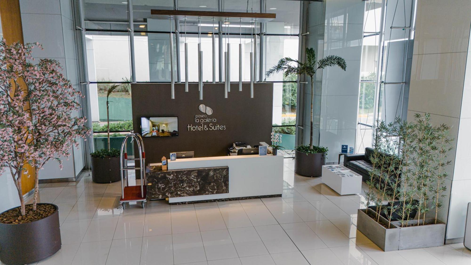 Paseo La Galeria Hotel & Suites 亚松森 外观 照片